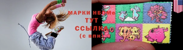 индика Верхний Тагил