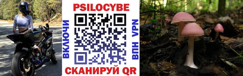 Галлюциногенные грибы Psilocybine cubensis  как найти закладки  Трубчевск 